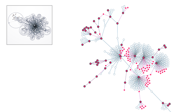 A network graph section with important nodes/links highlighted and a preview of a larger graph showing its origin.